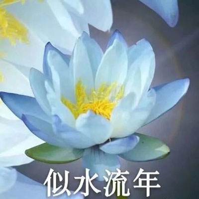 挂机军团手游(暂未上线)v1.5 安卓版