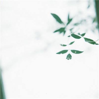 超凡王者变态版下载